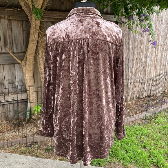 Belle by Kim Gravel Velvet Button Down Shirt - Brown - Picture 5 of 9